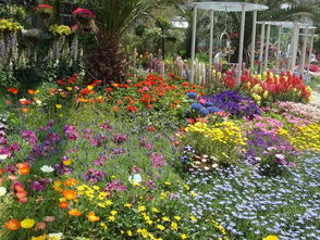 企業簡介 專注園林綠化工程，構建綠色美好家園