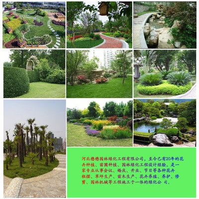 懋懋園林綠化 打造綠色生態，鑄就園林工程典范