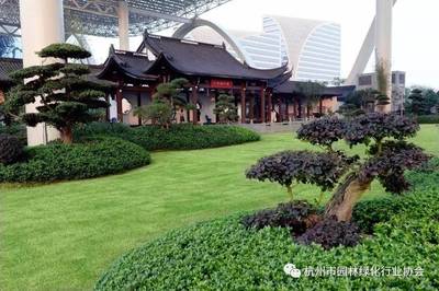 綠意云端，國博新境 杭州國際博覽中心屋面園林綠化工程榮膺金獎(jiǎng)紀(jì)實(shí)